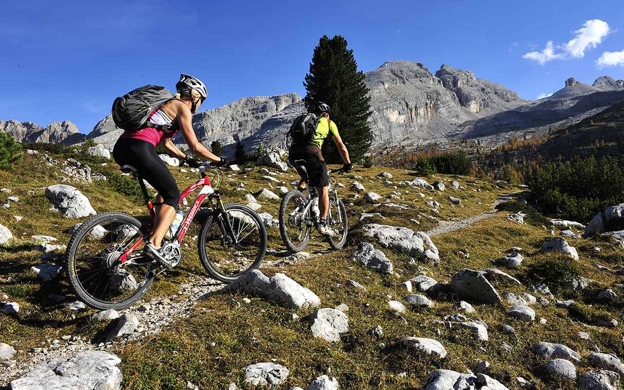 Ejercicio Físico y Memoria - Mountain Bike